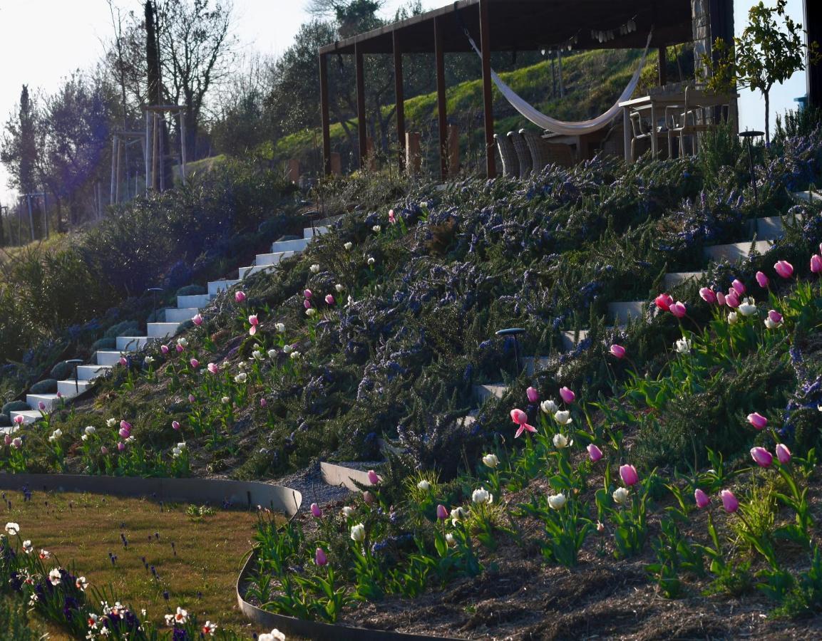 Monte Piccolo B&B บูเย ภายนอก รูปภาพ
